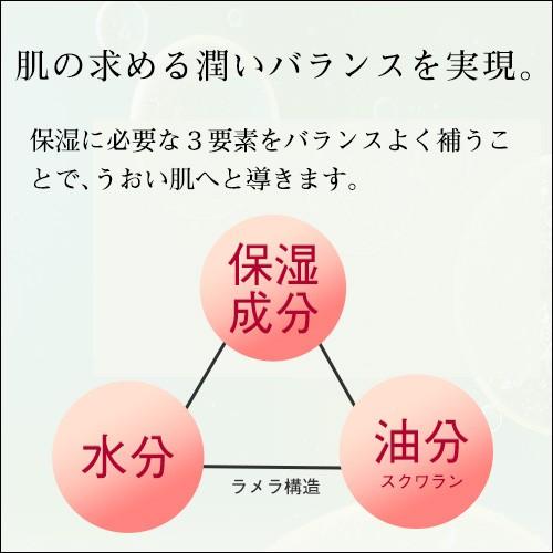 オールインワンジェル テラの輝き モイスチャークリーム 詰替用パウチ400g |  | 02