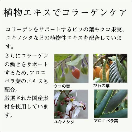オールインワンジェル テラの輝き モイスチャークリーム 詰替用パウチ400g |  | 04