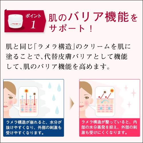 オールインワンジェル テラの輝きモイスチャークリーム ポンプ容器＆詰替用パウチ400g |  | 06