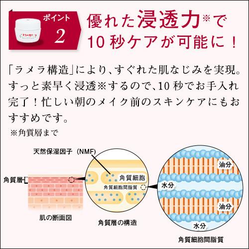 オールインワンジェル テラの輝きモイスチャークリーム ポンプ容器＆詰替用パウチ400g |  | 07