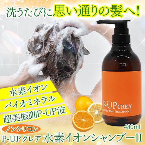 P-UPクレア　水素イオンシャンプーII　480ml |  | 01