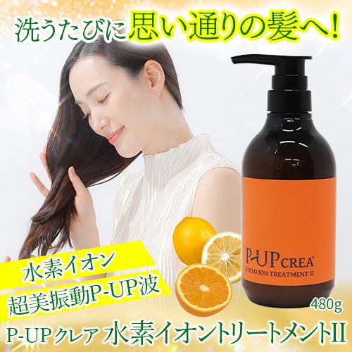 P-UPクレア　水素イオントリートメントII　480g |  | 01