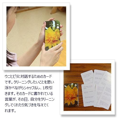 ホ オポノポノ Ceeportクリーニングカード Zkk567 トータルヘルスデザイン 通販 Yahoo ショッピング