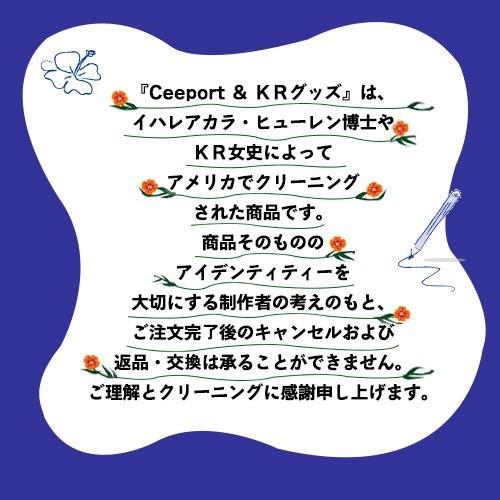 専用ページ　キーチェーン*2 コイルキーチェーン（26〜100cm） / レイメイストア / 株式会社