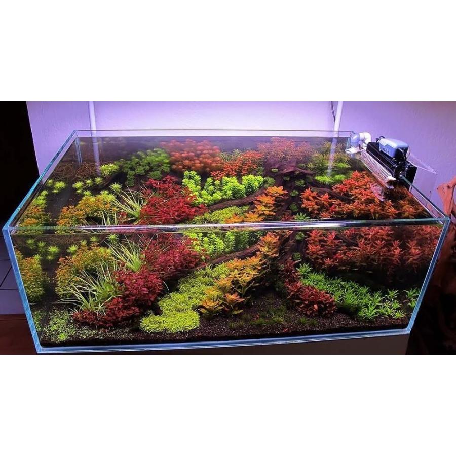 水草の成長を早める水草水槽用 液体栄養剤 APT EI 1000ml 液肥 アクアリウム おすすめ 人気 肥料