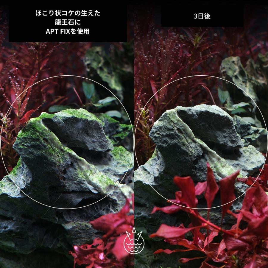 売上実績no 1 熱帯魚やエビ 水草にやさしい水槽用 コケ取り剤 Apt Fix 500ml アクアリウム おすすめ 人気 Aynaelda Com