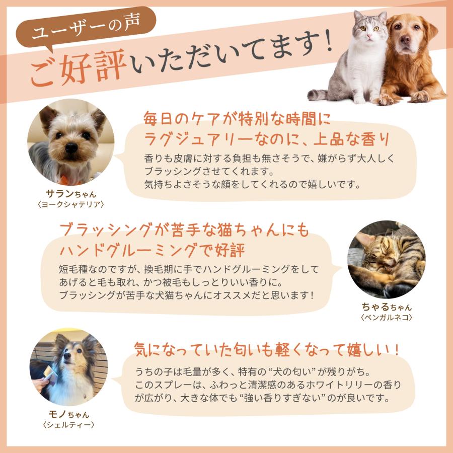 【25％オフクーポン配布中】犬 猫 グルーミングスプレー ブラッシングスプレー ドライシャンプー 静電気 消臭 保湿 Deaiwo Sarang Spray 100ml デアイヲ サラン |  | 06