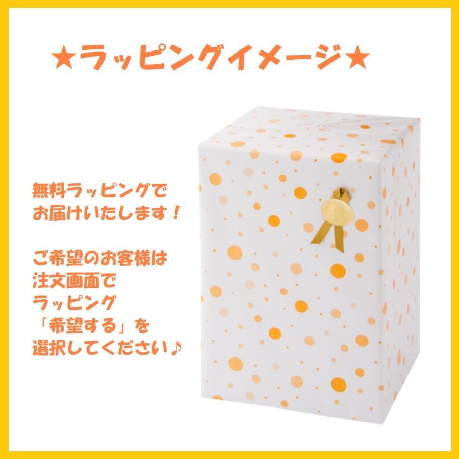 ランドセル 女の子 シナモロール ペガサスの翼 ミントグリーン Sr 1050 21年 キャラクター かわいい バインダー 12cm 反射 安心 安全 丈夫 耐久 推奨 Nc 76 R スーパーフジの通販 Fuji Netshop 通販 Yahoo ショッピング