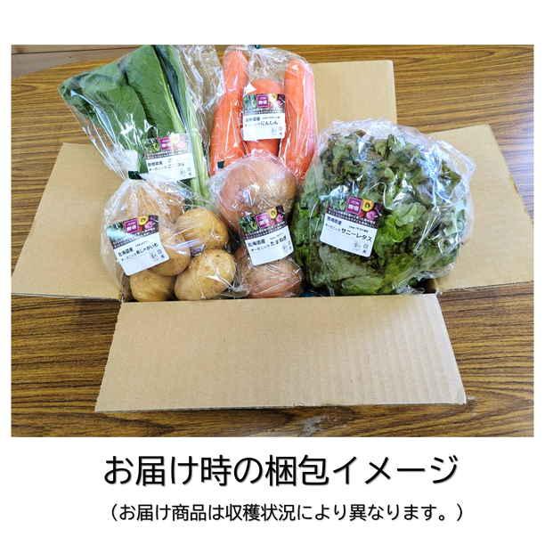 オーガニック野菜詰め合わせセットA(野菜5品目) : スーパー オーガニック野菜詰め合わせセットA(野菜5品目) : スーパー