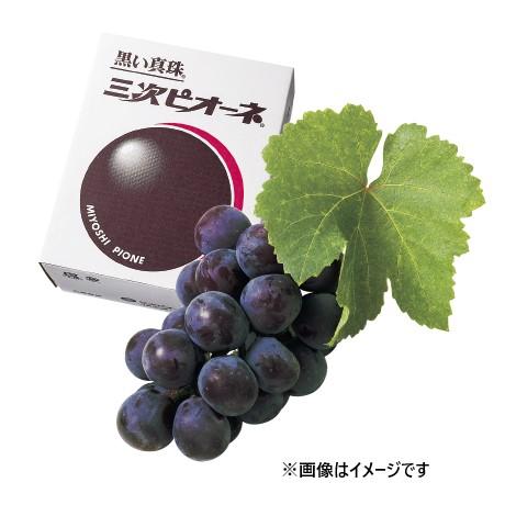 期間限定販売 三次ピオーネ 無地 約２kg ４房入 三次ピオーネ生産組合 ぶどう 葡萄 ピオーネ Stk 211 スーパーフジの通販 Fuji Netshop 通販 Yahoo ショッピング