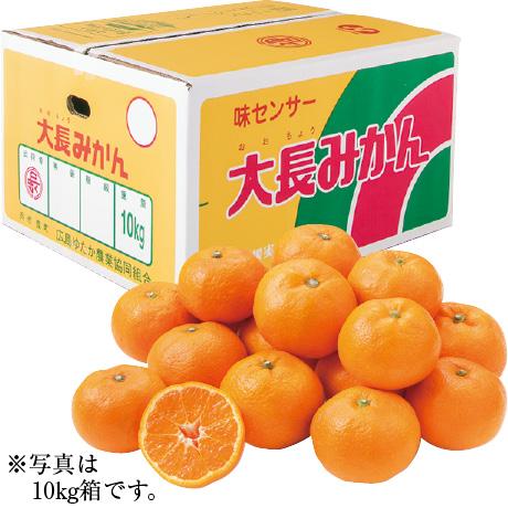 お歳暮 ギフト 送料無料 大長みかん MからL・5kg 広島県産（JA広島