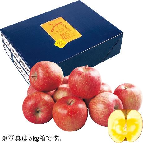 お歳暮 ギフト 送料無料 サンふじりんご（みつ姫） 5kg 岩手県産（JA