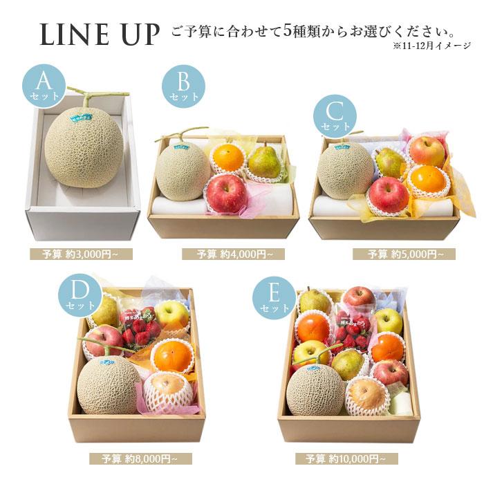 おまかせ旬のフルーツBOX (Bセット) 果物 詰め合わせ 盛り合わせ