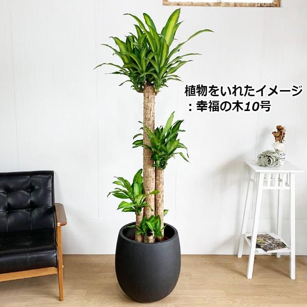 バルーン型 高級鉢カバー 送料無料 観葉植物 おしゃれ 尺鉢 大型 大鉢