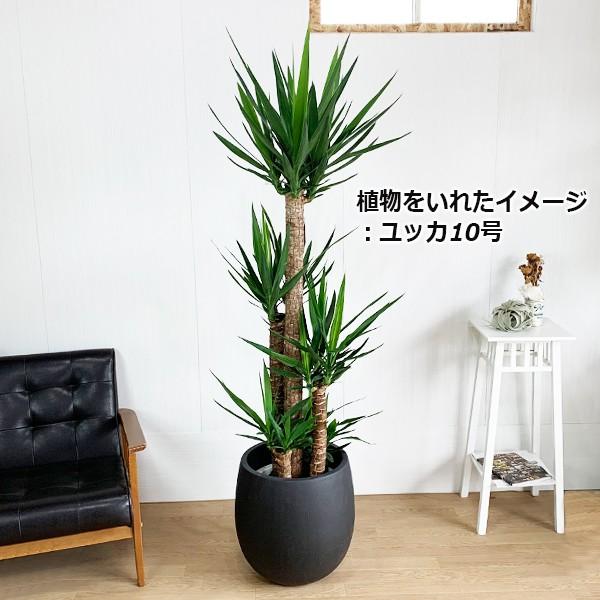 10号　尺鉢　大型観葉植物　鉢　鉢カバー　受け皿付き　未使用品 バルーン型 高級鉢カバー 送料無料 観葉植物 おしゃれ 尺鉢 大型 大鉢