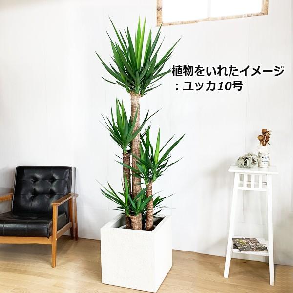 キューブ型 高級鉢カバー 送料無料 観葉植物 おしゃれ 尺鉢 大型 大鉢