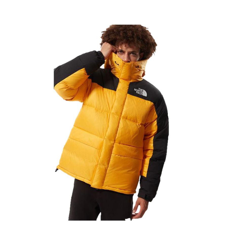 【全品送料無料】 THE NORTH FACE ザノースフェイス M HMLYN DOWN PARKA NF0A4QYX メンズ ダウンジャケット アウター 中綿 フェザー アウトドア ヒマラヤン ギフト ホワイトデー