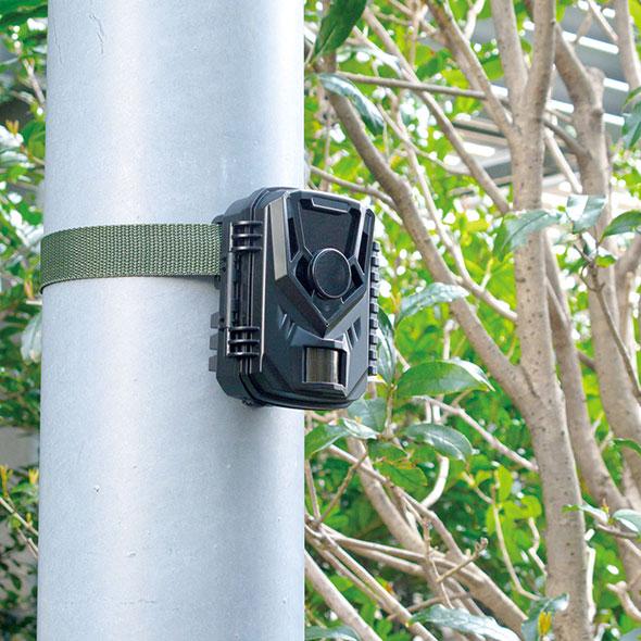 キャロットシステムズ 電池式センサーカメラ MOVE SHOT AT-1