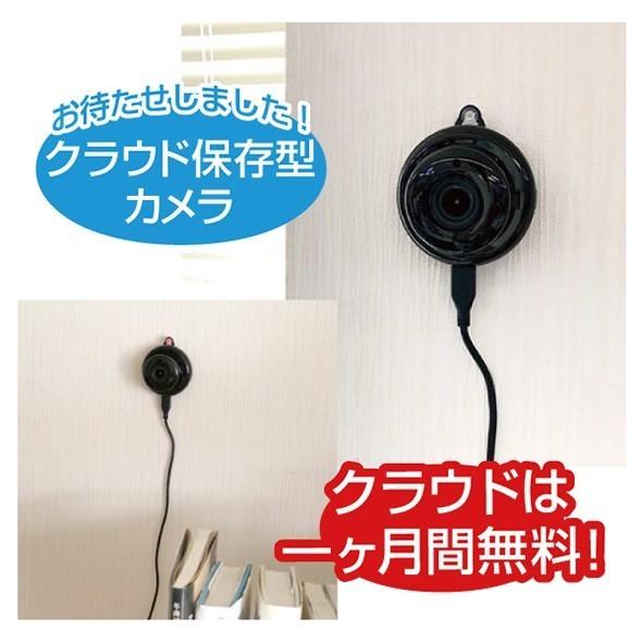 Wi Fi 対応カメラ　Dive-y Cloud Eye（ダイビー クラウド・アイ)GS-CLD011 | GLANSHIELD | 03