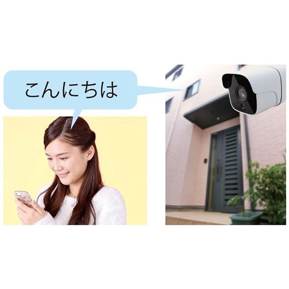 Dive-y WiFi 屋外用防水バレットカメラ 声かけ機能付 GS-DVY011