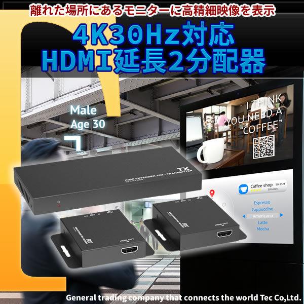 TEC（テック） 4K30Hz対応HDMI延長2分配器 TEHDSPEX70 : セキュリティ