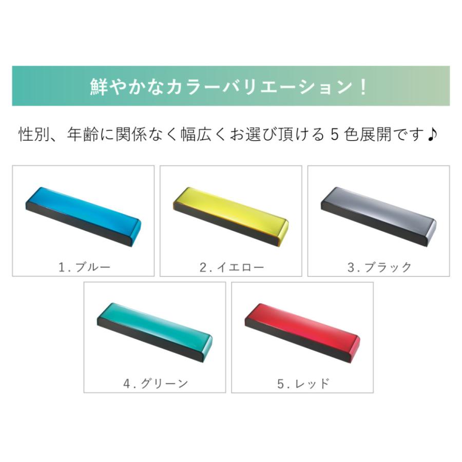 キラキラ かわいい おしゃれ シンプル 光沢感 筆箱 ペンケース 筆入れ 定規が入る　ornament Pen Case（ペンケー ス） |  | 12