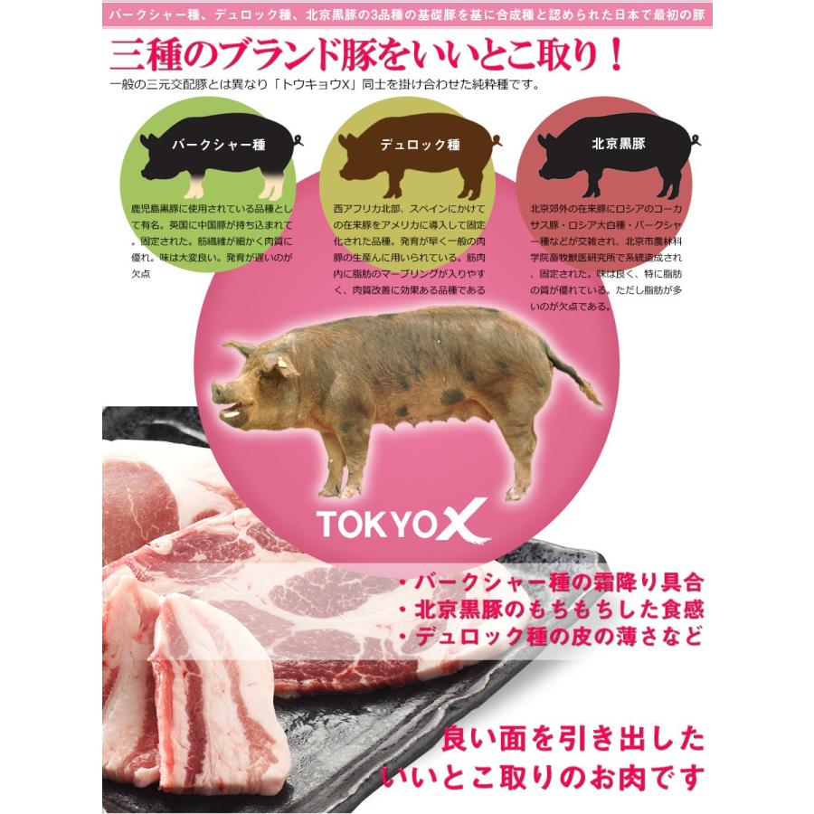 TOKYO X 送料無料 焼肉セット 600g 幻の豚肉 東京X トウキョウ