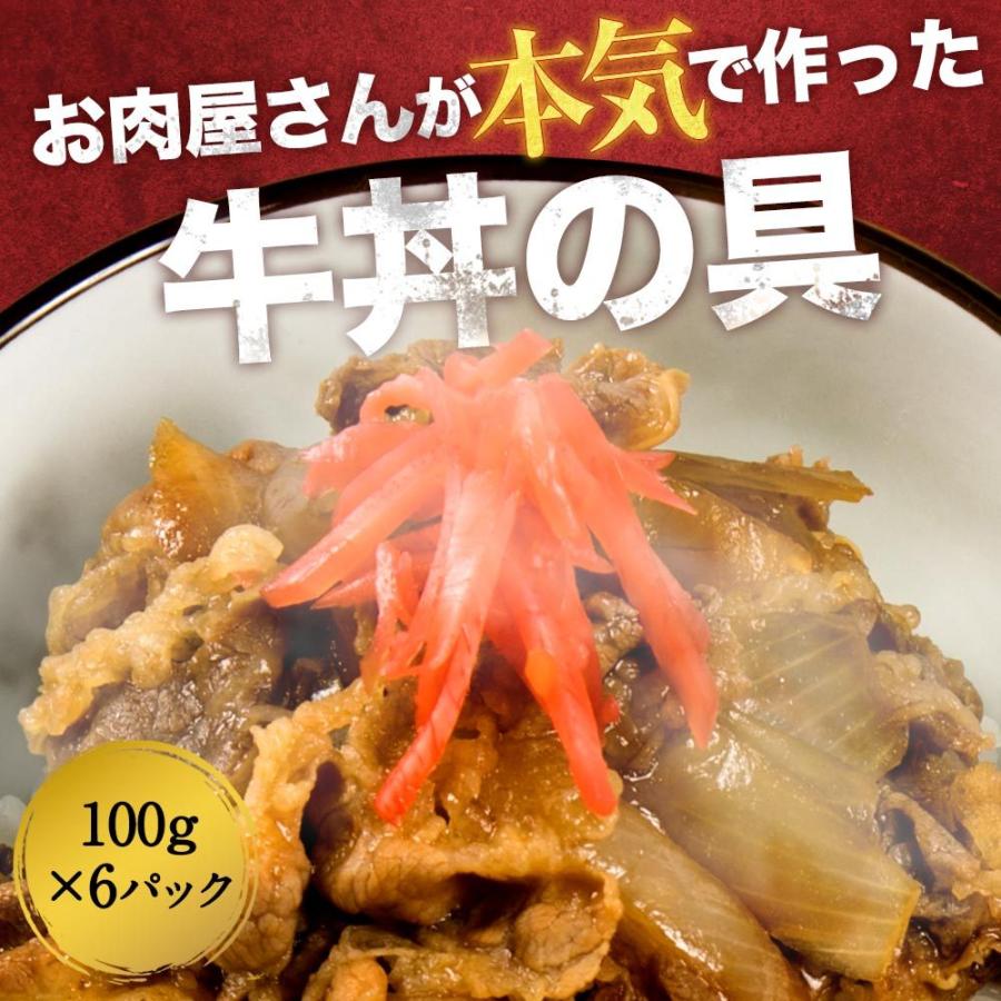 牛丼の具 100g×6食 特価 業務用 牛肉 仕送り 業務用 食品 おかず お弁当 冷凍 子供 お取り寄せ お取り寄せグルメ 時短 時短ごはん 単身赴任 一人暮らし｜the-nikuya｜02