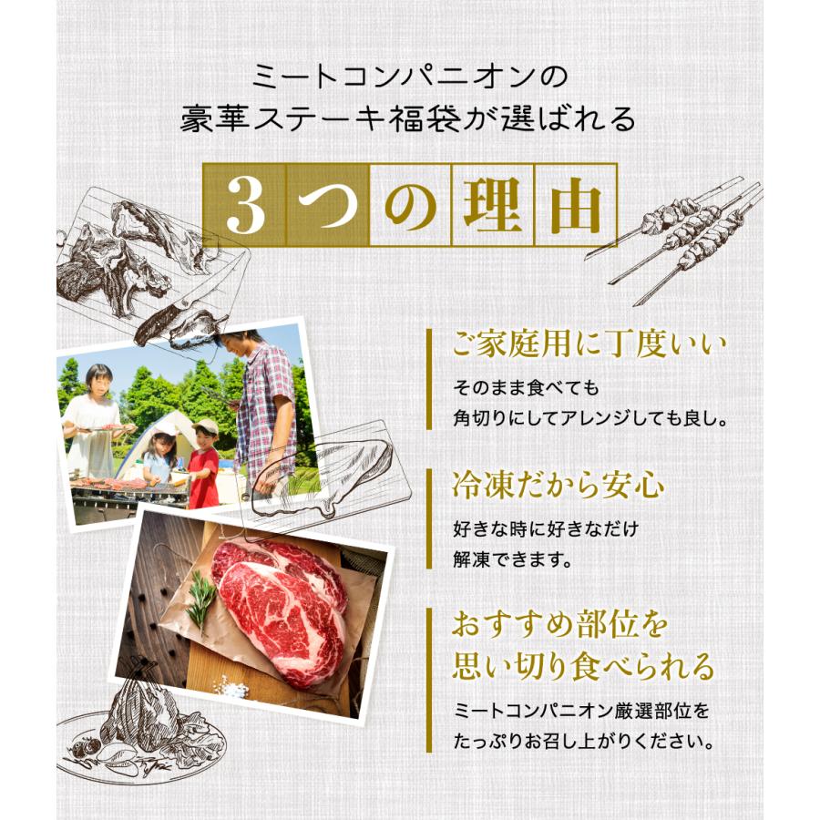 極上 ステーキ肉 ステーキセット福袋 3枚入り合計 590gサーロイン(220g)リブアイロース(200g)テンダー(170g)｜the-nikuya｜05