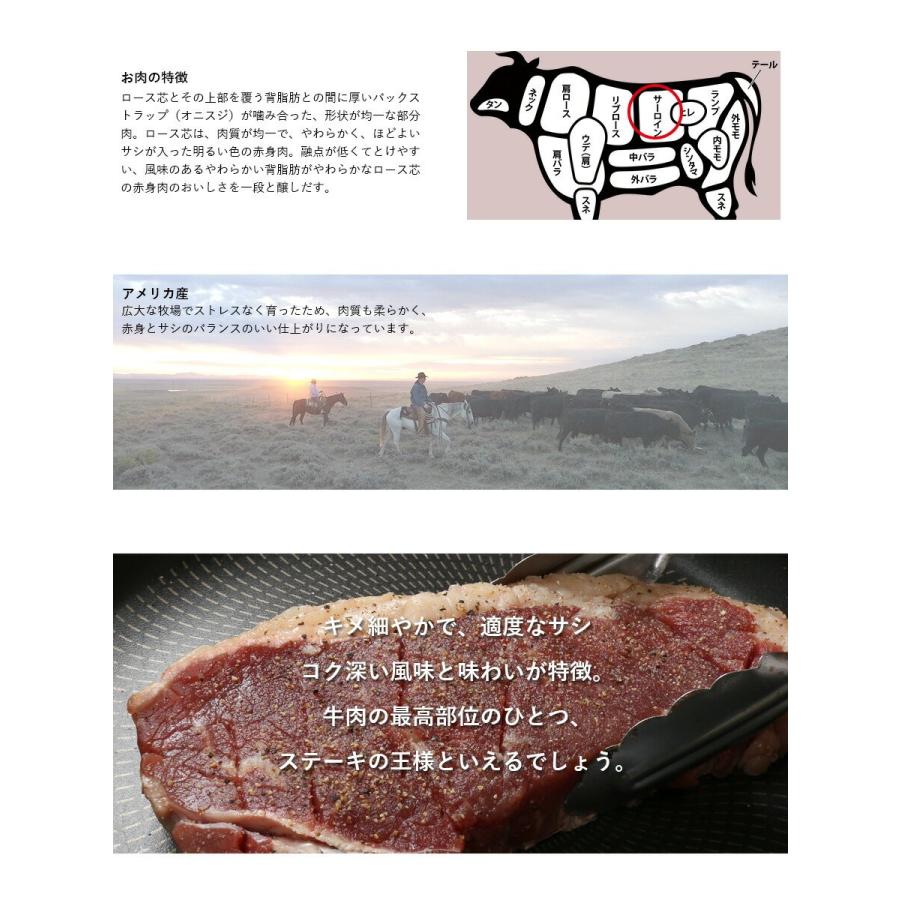 アメリカ産 熟成 サーロイン ステーキ 450g 10枚セット 熟成牛 牛肉 BBQ ステーキ肉 赤身 ギフト 仕送り 業務用 食品 おかず お弁当 冷凍｜the-nikuya｜03