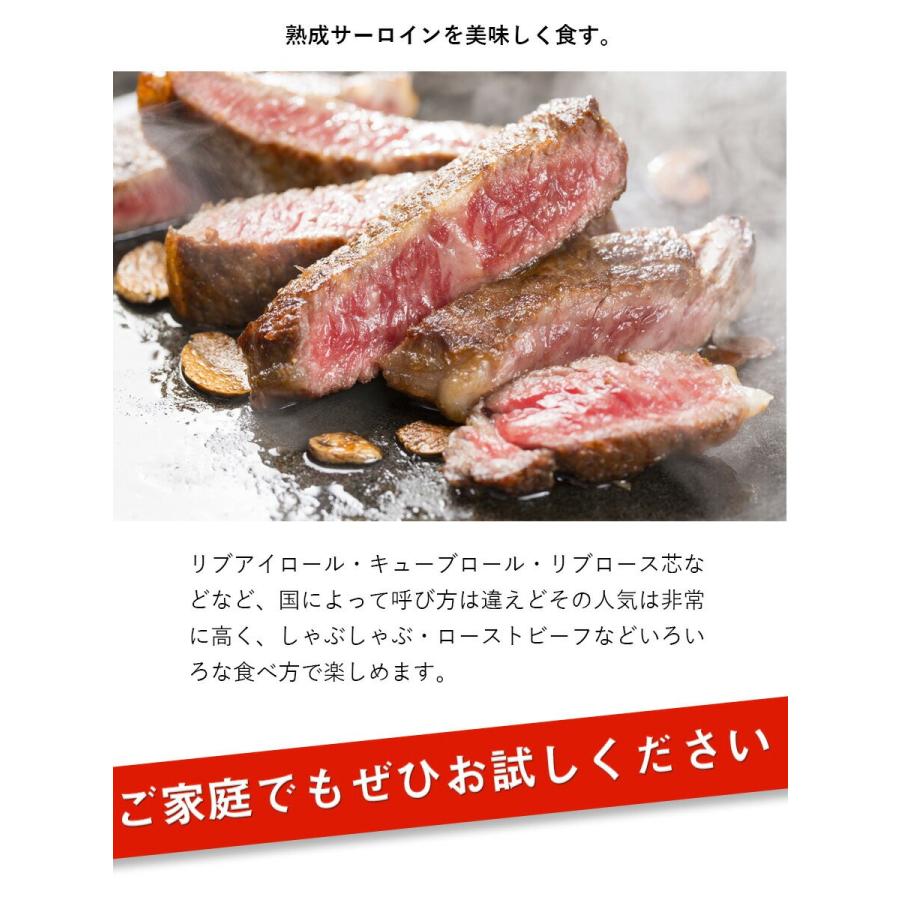 アメリカ産 熟成 サーロイン ステーキ 450g 10枚セット 熟成牛 牛肉 q ステーキ肉 赤身 ギフト 仕送り 業務用 食品 おかず お弁当 冷凍 18 0054 10 ミート コンパニオン 通販 Yahoo ショッピング