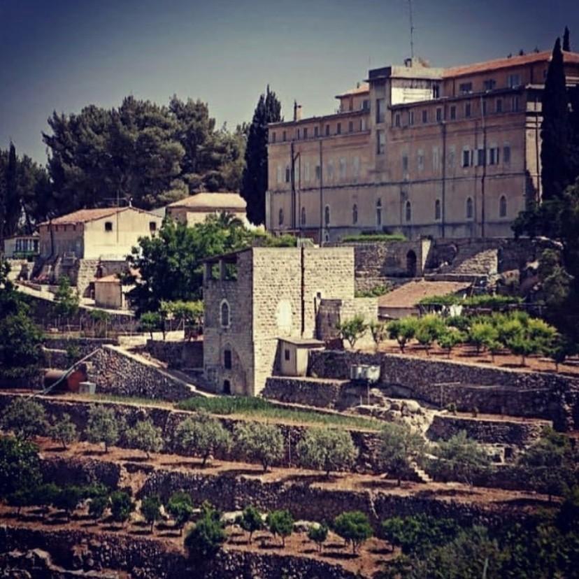 「ベツレヘムの星」イスラエル・パレスチナ自治区産 赤ワイン　2017年（オーガニック） |  | 10