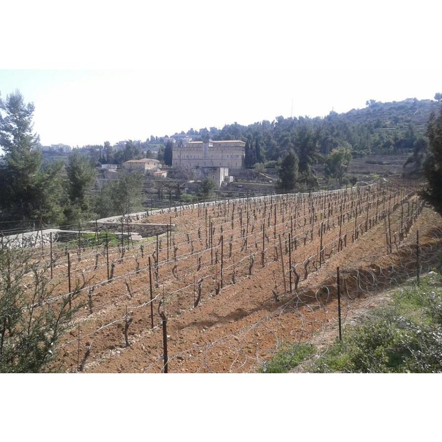 「ベツレヘムの星」イスラエル・パレスチナ自治区産 赤ワイン　2017年（オーガニック） |  | 02