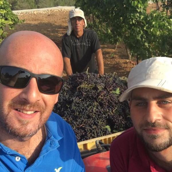 「ベツレヘムの星」イスラエル・パレスチナ自治区産 赤ワイン　2017年（オーガニック） |  | 03