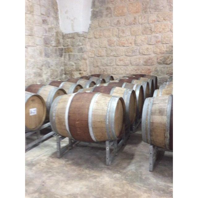 「ベツレヘムの星」イスラエル・パレスチナ自治区産 赤ワイン　2017年（オーガニック） |  | 07