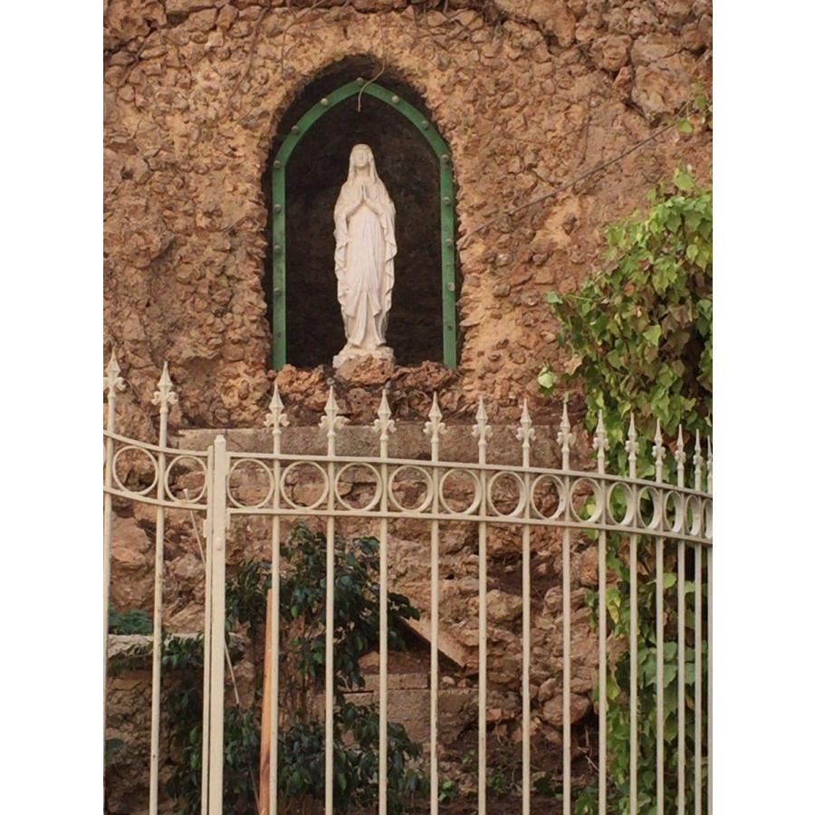 「ベツレヘムの星」イスラエル・パレスチナ自治区産 赤ワイン　2017年（オーガニック） |  | 08