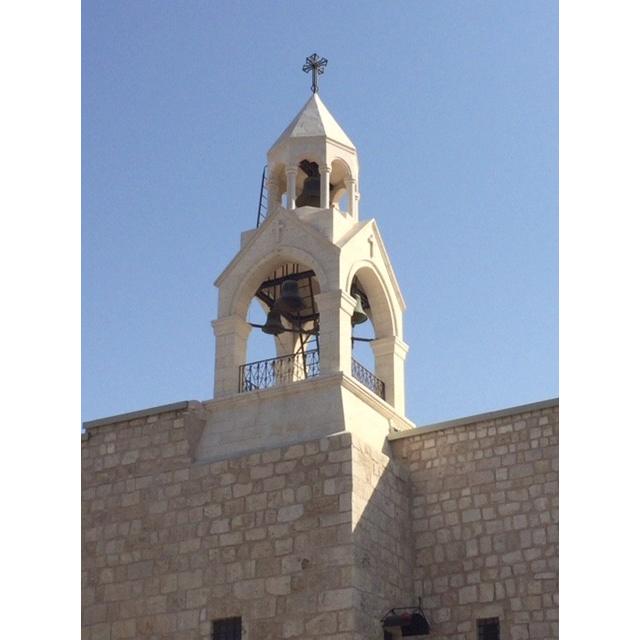 「ベツレヘムの星」イスラエル・パレスチナ自治区産 赤ワイン　2017年（オーガニック） |  | 09