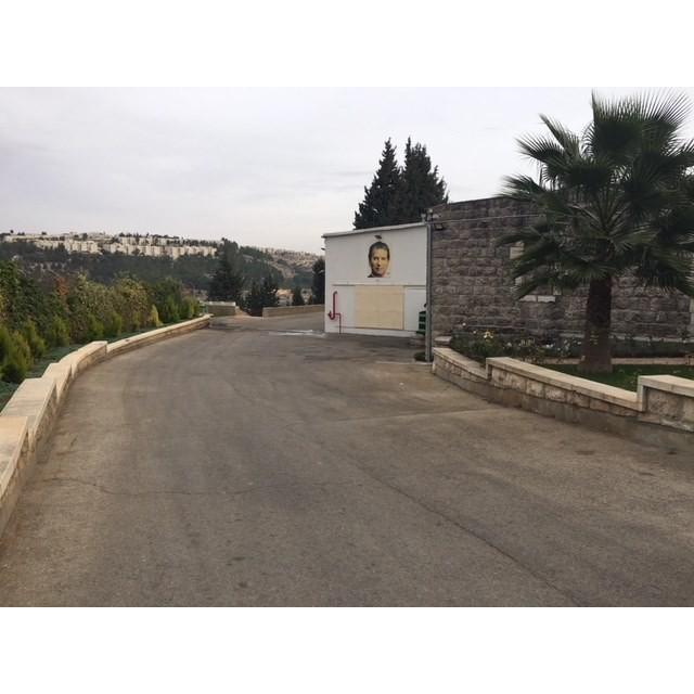 「ベツレヘムの星シリーズ ダボウキ」イスラエル・パレスチナ自治区産 白ワイン　2017年（オーガニック） |  | 02