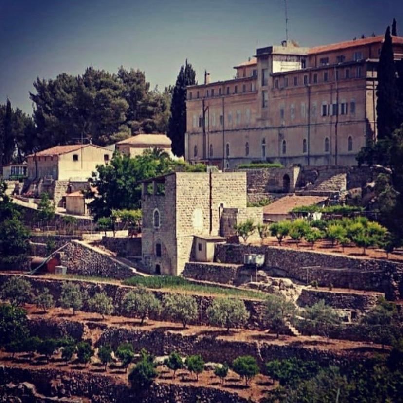 「ベツレヘムの星シリーズ ダボウキ」イスラエル・パレスチナ自治区産 白ワイン　2017年（オーガニック） |  | 06