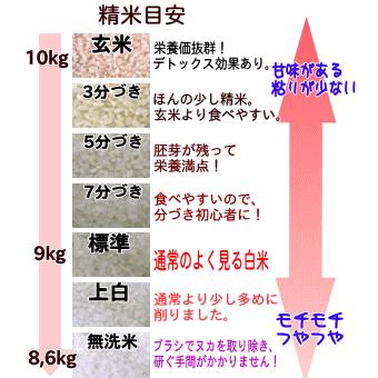 米 10kg 送料無料 伊賀米キヌヒカリ 令和4年産新米 玄米10kg 10kgｘ1 or 5kgｘ2 米ぬか 精米 無料 無洗米 3分づき 5分づき 7分づき 胚芽米 送料無 お歳暮2023｜the-sanchoku｜08