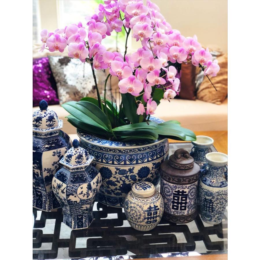 THE-SECRET-GARDEN シノワズリ Blue & White 飾り壺 大 青白陶器 THE-SECRET-GARDEN シノワズリ Blue & White 飾り壺 大 青白陶器