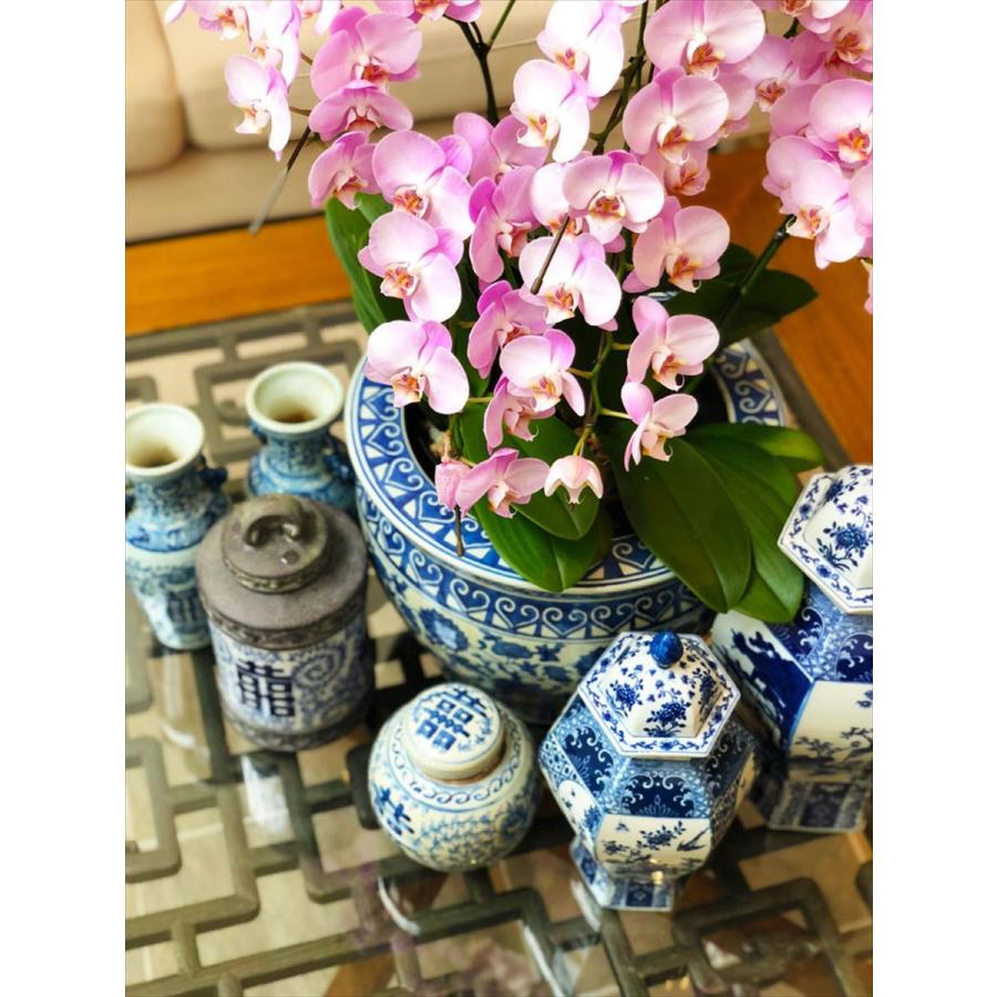 THE-SECRET-GARDEN シノワズリ Blue & White 飾り壺 大 青白陶器 THE-SECRET-GARDEN シノワズリ Blue & White 飾り壺 大 青白陶器