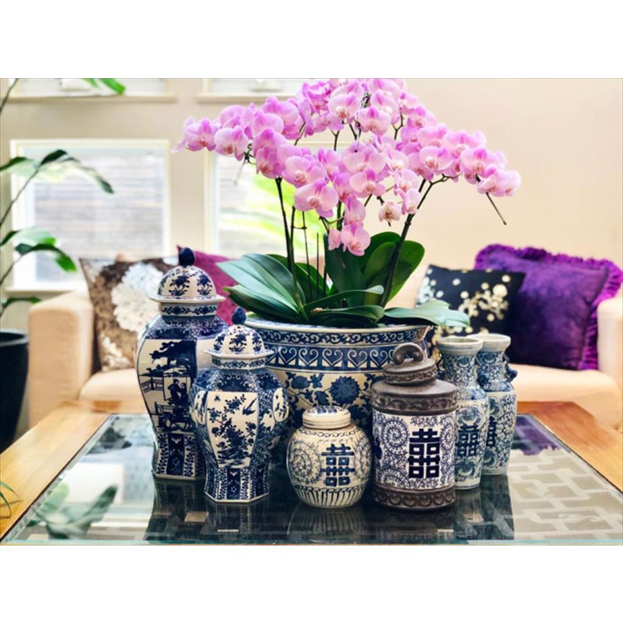 THE-SECRET-GARDEN シノワズリ Blue & White 飾り壺 大 青白陶器 THE-SECRET-GARDEN シノワズリ Blue & White 飾り壺 大 青白陶器