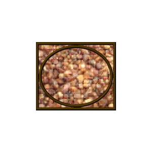 そば茶1kg徳用袋　送料全国一律600円 |  | 02