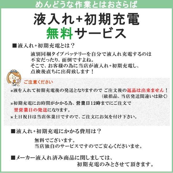 2個セット 保証付 EB50 L HIC-60 サイクルバッテリー L形端子 ボルト締付端子 蓄電池 自家発電 日立 後継品｜thebattery｜02