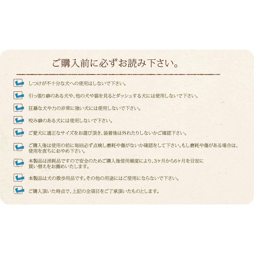 ＜10M＞BLCラバーロングリード（メッシュポーチ付き）_16