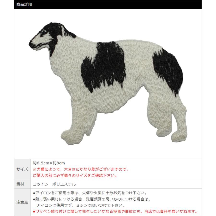 Vets That Make House Calls Near Me House Visit Vets Near Me Sales