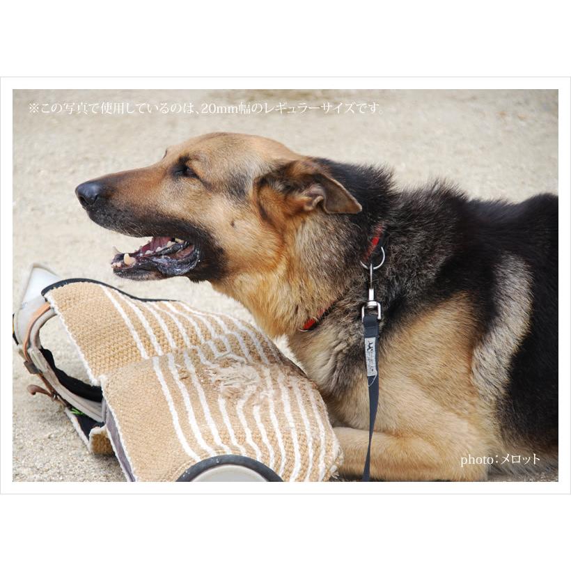 15mm幅／130cm＞BLC小型犬用無地ナイロンリード : ブラックラブ