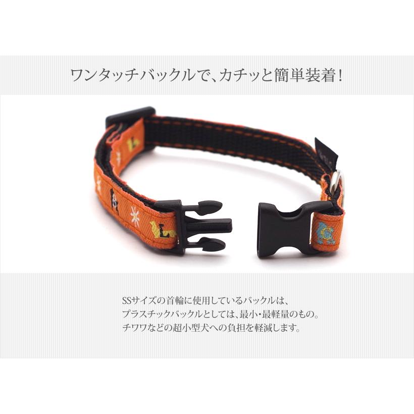 BLC首輪 ＜SSサイズ＞ デイジーオレンジ : ブラックラブカンパニー