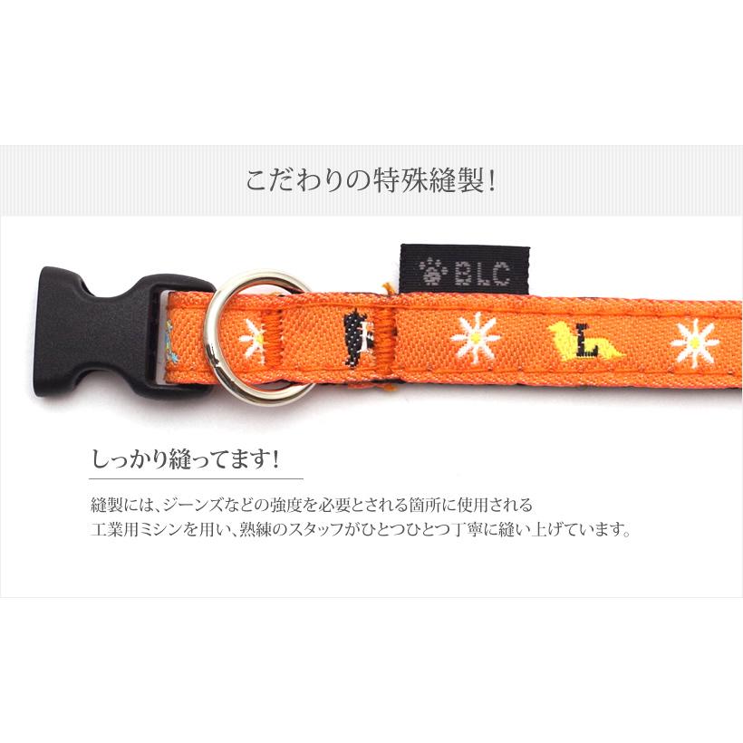 BLC首輪 ＜SSサイズ＞ デイジーオレンジ : ブラックラブカンパニー